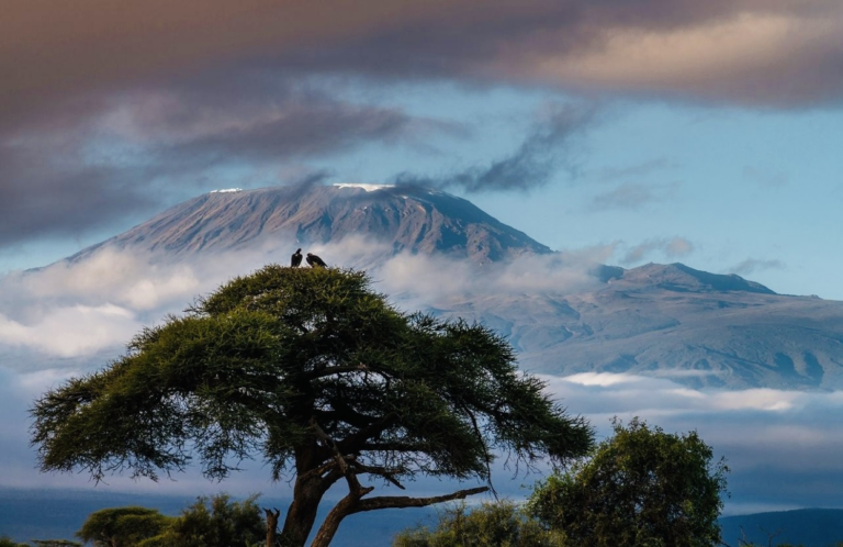 Discover the Magic of African Safaris and Conquer Mount Kilimanjaro