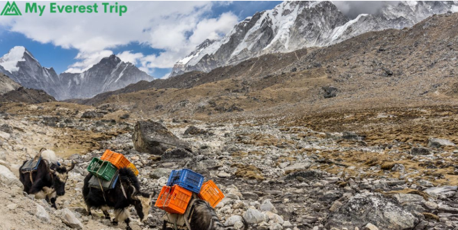 Lobuche Peak Climbing | Lobuche Peak Climbing Cost | Lobuche Peak Climbing Itinerary