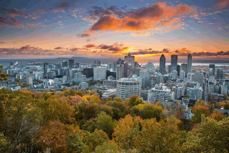 Moving Services Montreal Offering Unmatched Provincial Move Solutions